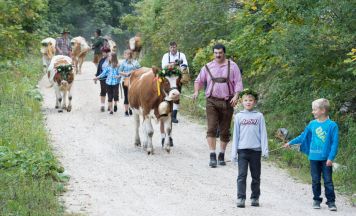 Den Sommer beim 13. Steinbacher Almabtrieb ausklingen lassen