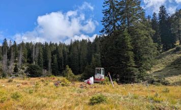 Feichtau-Moor im Nationalpark Kalkalpen wird revitalisiert