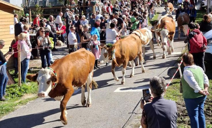 (Foto: BBK Kirchdorf Steyr/Reinhold Limberger)