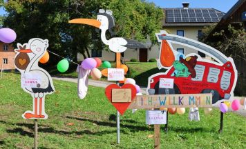 Störche für Leona in Nußbach