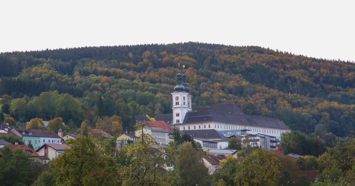 Gymnasium Schlierbach stellt neuen Oberstufenzweig vor