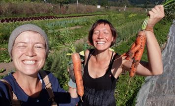 FoodCoops und solidarische Landwirtschaften öffnen ihre Türen in der Region