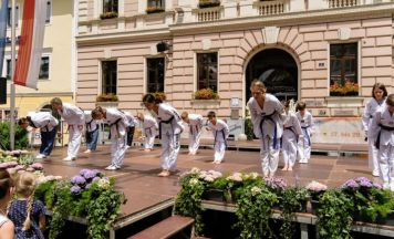 ASKÖ Taekwondo Kirchdorf startet mit vollen Gruppen ins Trainingsjahr