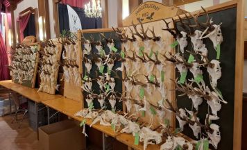Trophäenschau und aktuelle Jagdthemen in Kirchdorf besprochen