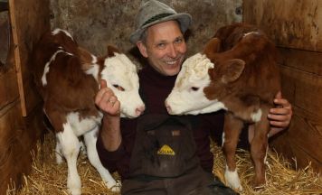 Kälberzwillinge Laura und Lorenz wachsen in Nußbach auf