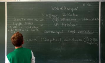 Bedarf an Förderungen in Linzer Schulen ist gestiegen