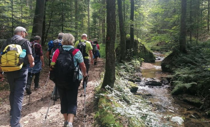 Die Pilgergruppe auf ihrer zweitägigen Fußwallfahrt nach Maria Taferl. (Foto: Erika Harringer)