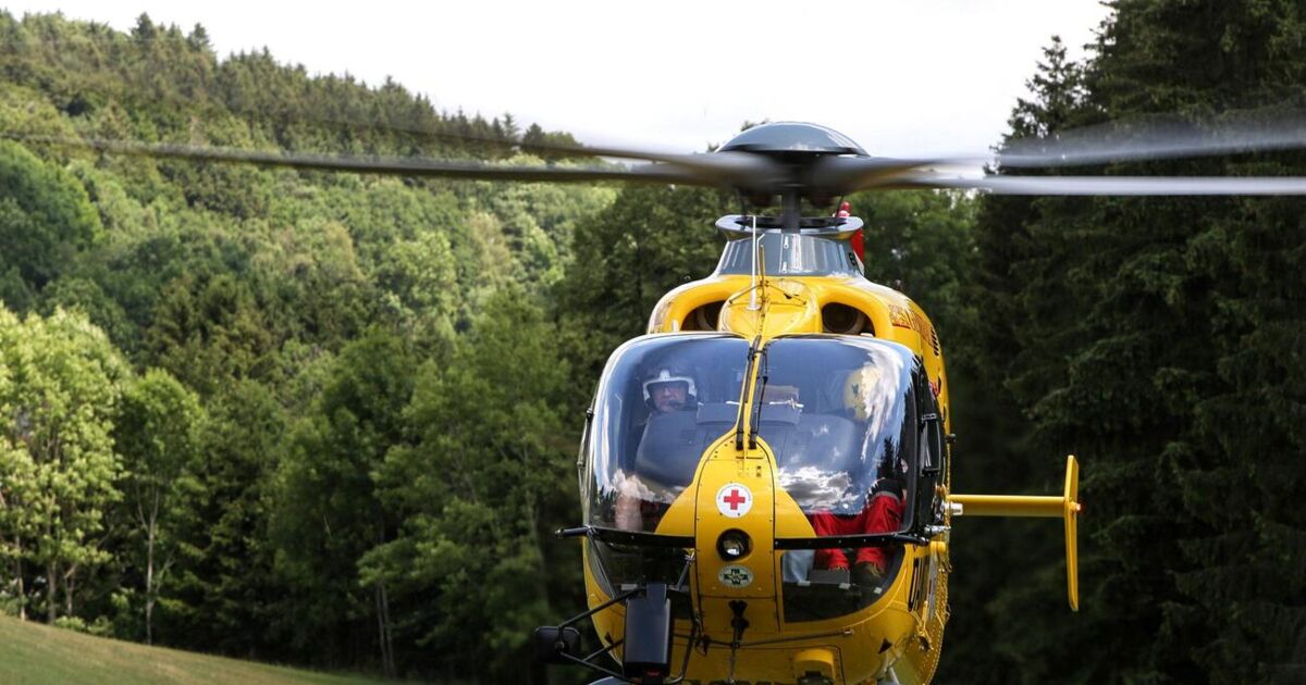 Mann bei Forstunfall in St. Wolfgang schwer verletzt
