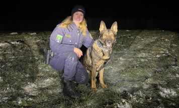 Polizeidiensthund Puck nahm Fährte nach Gartenhaus-Einbruch in Mondsee auf