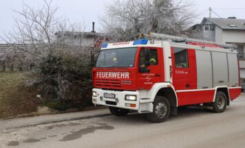 Reh stürzt in Pool: Feuerwehr in Holzhausen im Einsatz