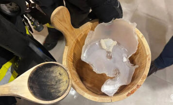 Brandmeldealarm in Hotel in Bad Leonfelden durch schmelzenden Kübel ausgelöst