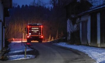 Feuerwehr zu zwei entlaufenen Ponys nach Edt bei Lambach gerufen