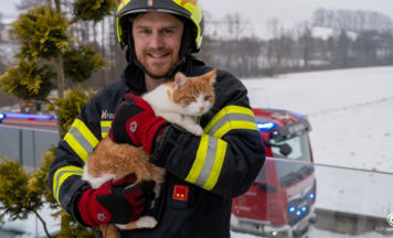 Feuerwehr rettet eingeschlossene Katze in St. Marien