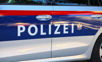 Bub (11) entdeckt Kriegsmunition bei Schiedlberg