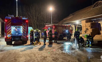 Kuh in Neuhofen an der Krems aus Güllegrube gerettet