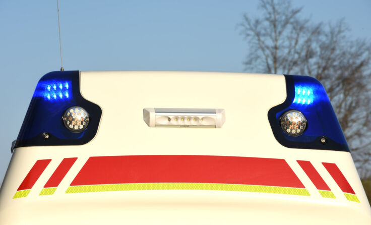 Symbolfoto: Wolfgang Spitzbart-stock.adobe.com