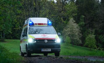 Forstarbeiter bei Baumfällarbeiten in Sattledt verletzt