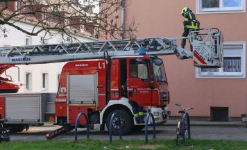 Katze per Drehleiter von Dach in Wels-Vogelweide gerettet