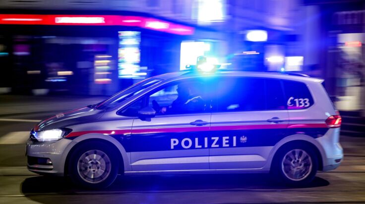 Discobesucher (35) bedroht in Schwanenstadt Gäste und attackiert Polizisten