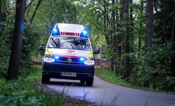 Mann von Stier attackiert und tödlich verletzt