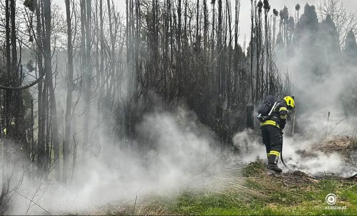 Feuerwehrkräfte bei der Bekämpfung des Heckenbrands in Hübing. (Fotocredit: Feuerwehr Münsteuer)