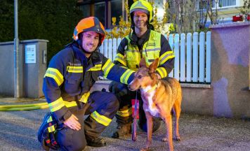 Küchenbrand in Mehrfamilienhaus in Marchtrenk