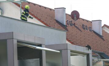 Katzen-Einsatz in Krenglbach