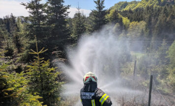 Brand in Christbaumkultur in Frankenburg