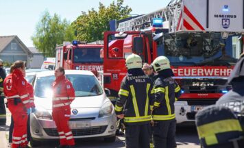 Rauchmelder verhindert Küchenbrand in Mehrparteienhaus in Wels-Vogelweide