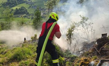 Teelicht löste Waldbrand in St. Wolfgang aus