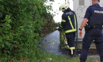Kleinbrand bei Weigl-Viadukt in Wels-Pernau rasch gelöscht