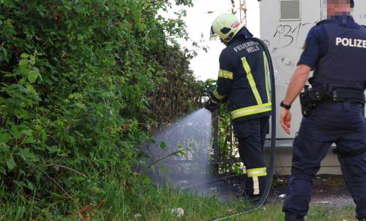 Feuerwehr löscht einen Kleinbrand am Weigl-Viadukt. (Fotocredit: laumat/Matthias Lauber)