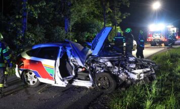 Autolenker (23) wich Reh aus und krachte gegen Bäume
