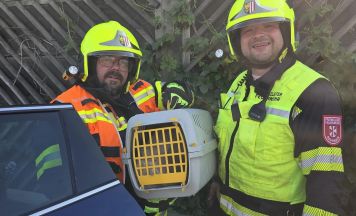 Unfall auf A1 bei St. Florian: Beifahrerin verletzt, Katze gerettet