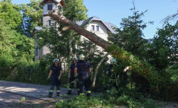 Feuerwehr entfernte morschen Baumteil in Wels-Neustadt