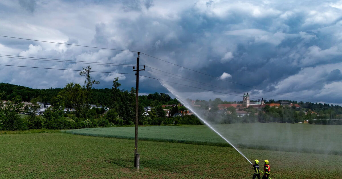 Fire on overhead power line triggers fire department operation in St ...