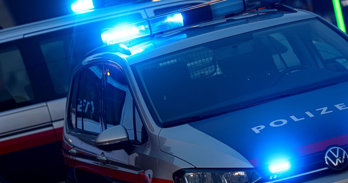 Several injured after brawl in Wels