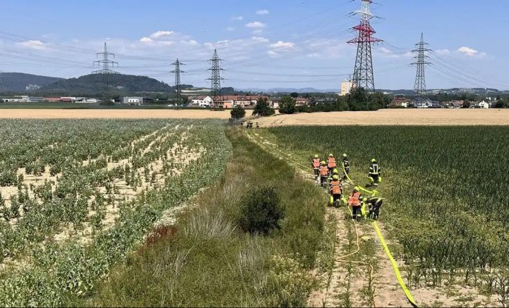 Feuerwehrkräfte bei den Löscharbeiten nach einem Feldbrand in Raffelstetten (Foto: FF Asten)