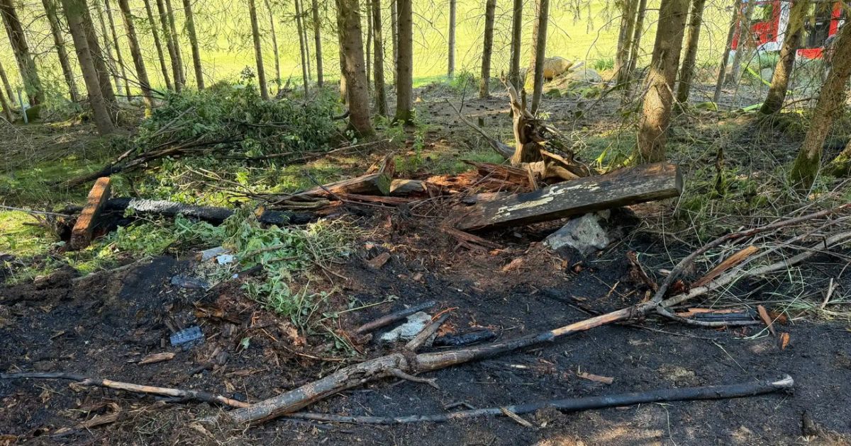 Forest fire near Schönau: Fire departments prevent spread