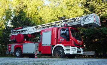 Feuerwehr rettet Papagei Coco mit Drehleiter aus Baum