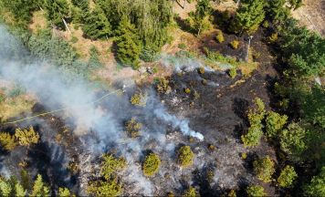 Weggeworfene Zigarette verursachte Waldbrand in Neumarkt