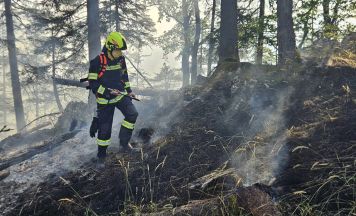 Elf Feuerwehren bei Waldbrand in Weyer im Einsatz