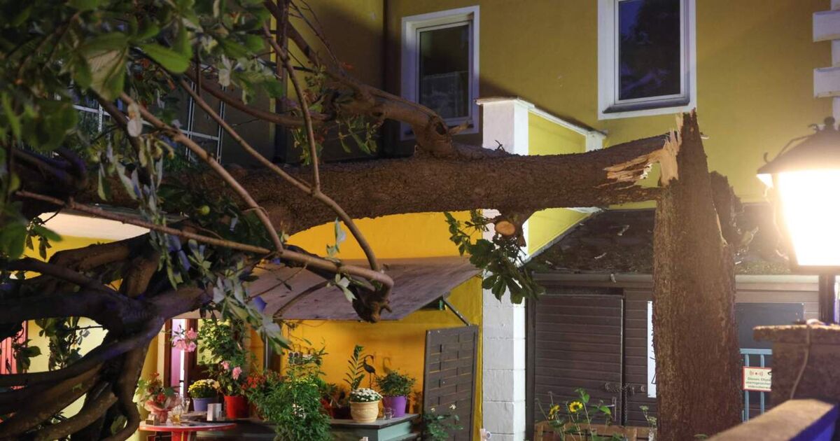 Chestnut tree in a beer garden in Wels-Neustadt falls on guests