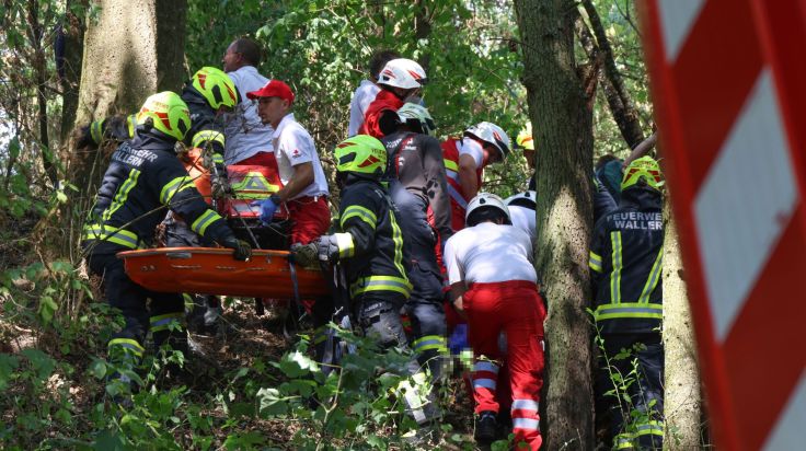 Mann (48) bei Forstunfall im Bezirk Grieskirchen schwer verletzt