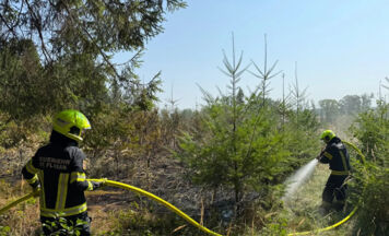 Waldbrand in St. Florian: Feuerwehren verhindern Ausbreitung