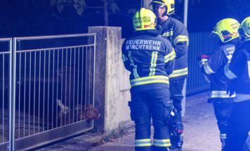 Feuerwehr Marchtrenk befreit Reh aus Einfahrtstor