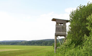 Hochstand in Eberstalzell zerstört – Polizei bittet um Mithilfe