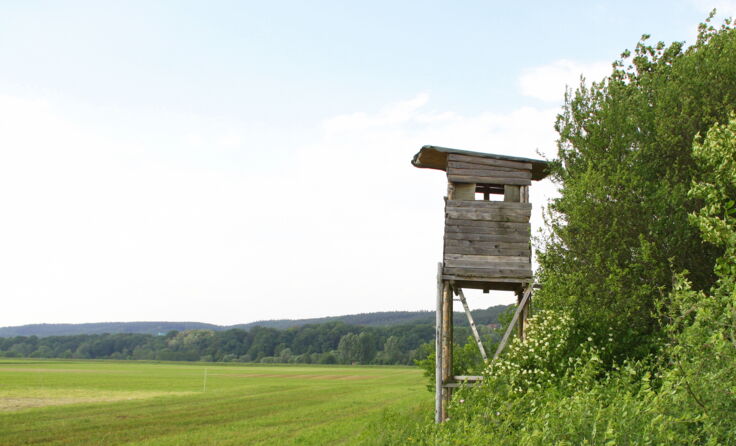 Symbolfoto: WilliK/stock.adobe.com