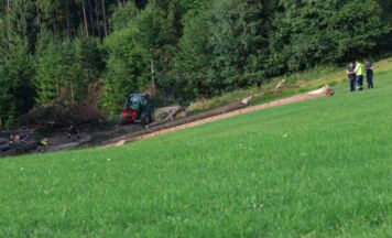 Tödlicher Forstunfall in Vorderstoder: Mann von Baum erschlagen