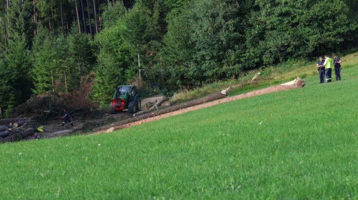 Tödlicher Forstunfall in Vorderstoder: Mann von Baum erschlagen
